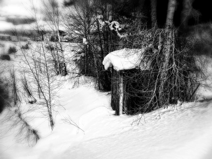 Tree Photograph - Snow scene by Elizabeth Mix