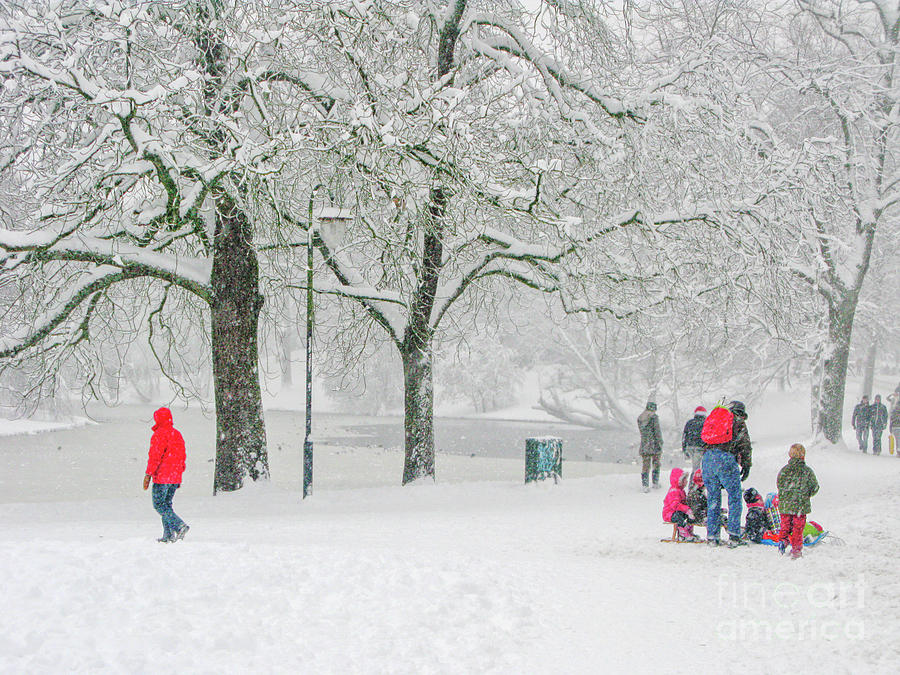 Snow scene in park Photograph by Patricia Hofmeester