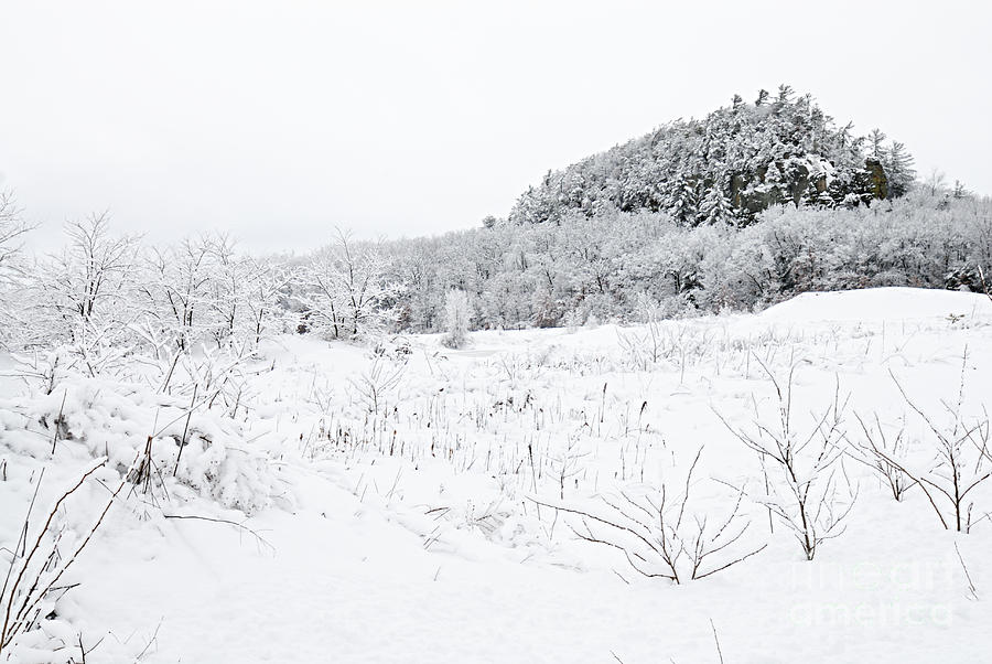 Snow Scene Photograph by Larry Ricker