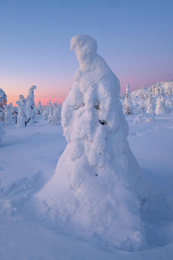 Snow Sculpture Photograph by Roberta Kayne