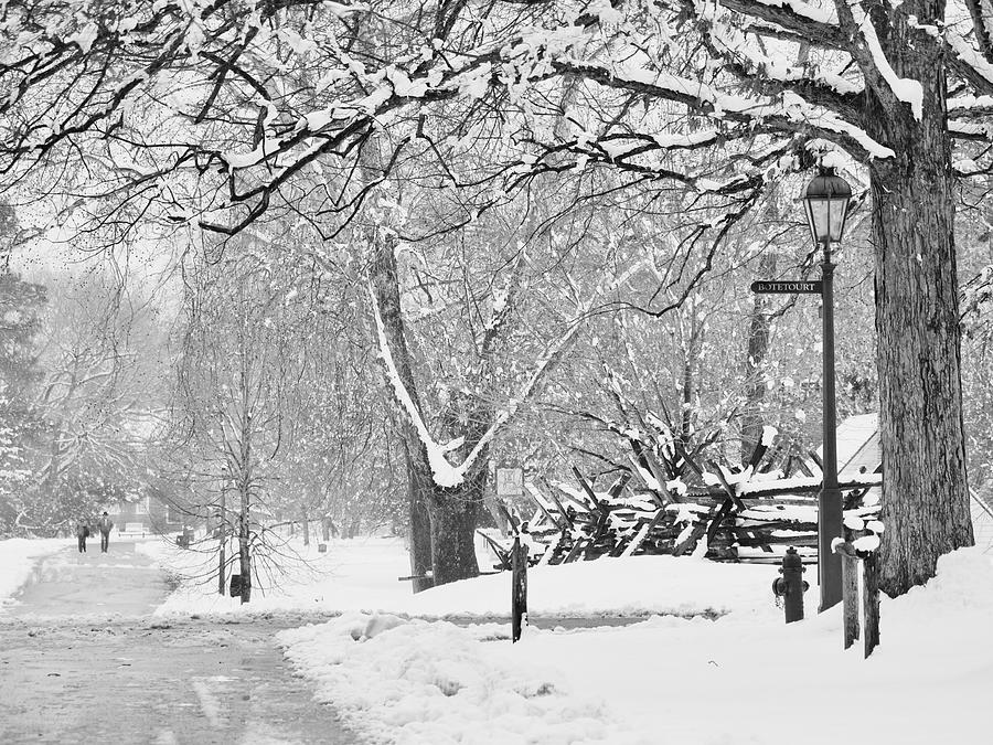 Snow Season in Williamsburg Photograph by Rachel Morrison