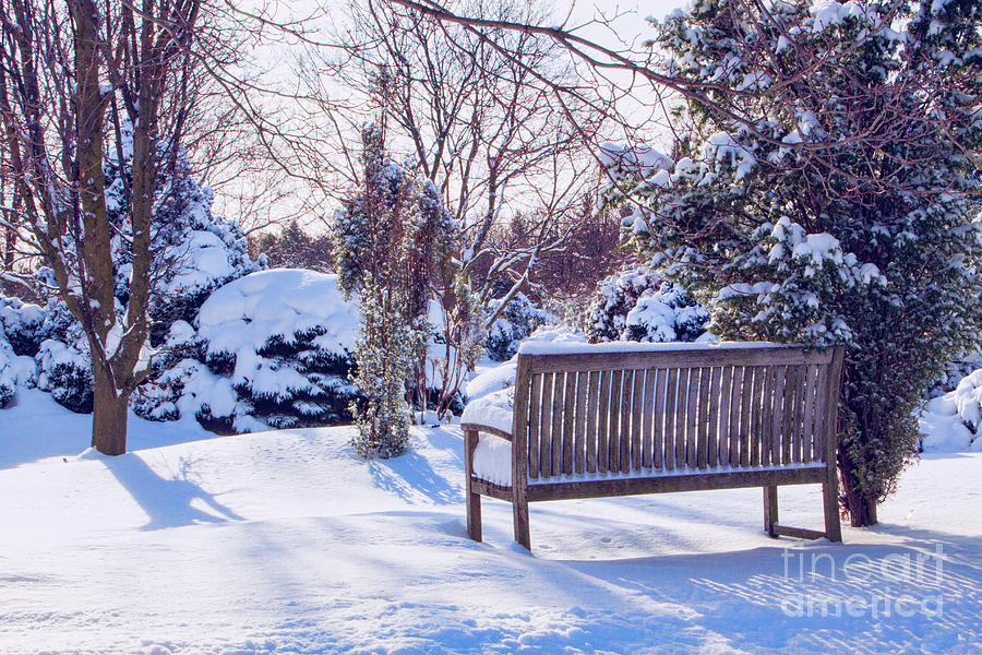 Snow Seat Photograph by Marilyn Cornwell