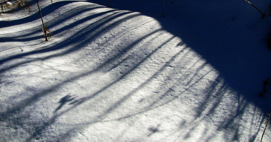 Snow Shadow 1 Photograph by Douglas Pike