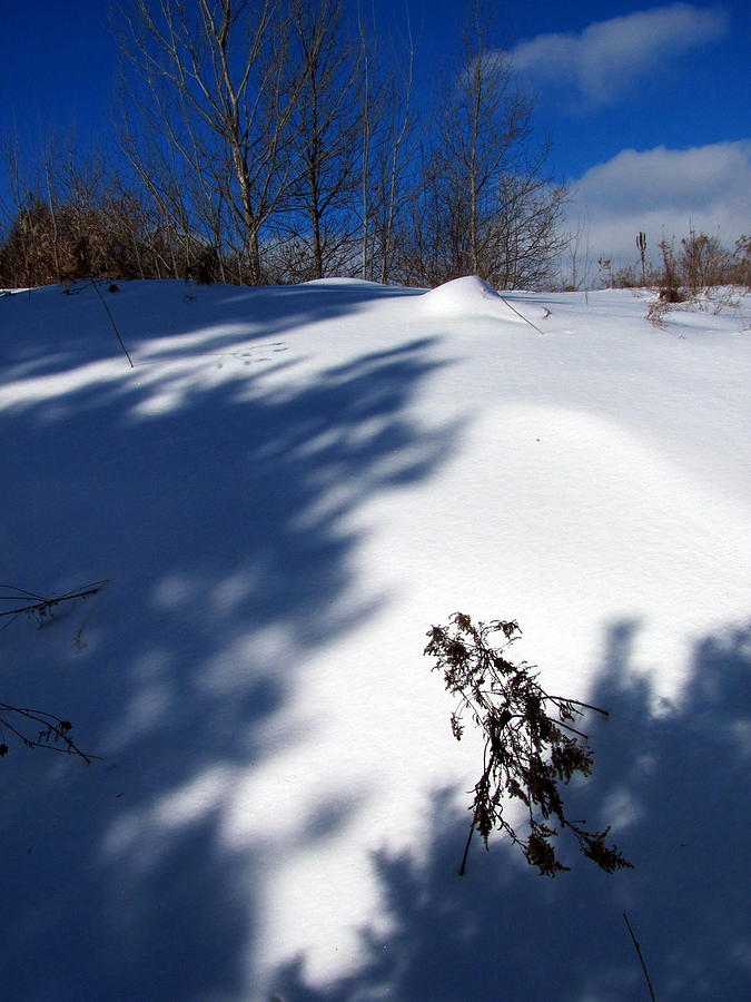 Snow shadow 11 Photograph by Douglas Pike