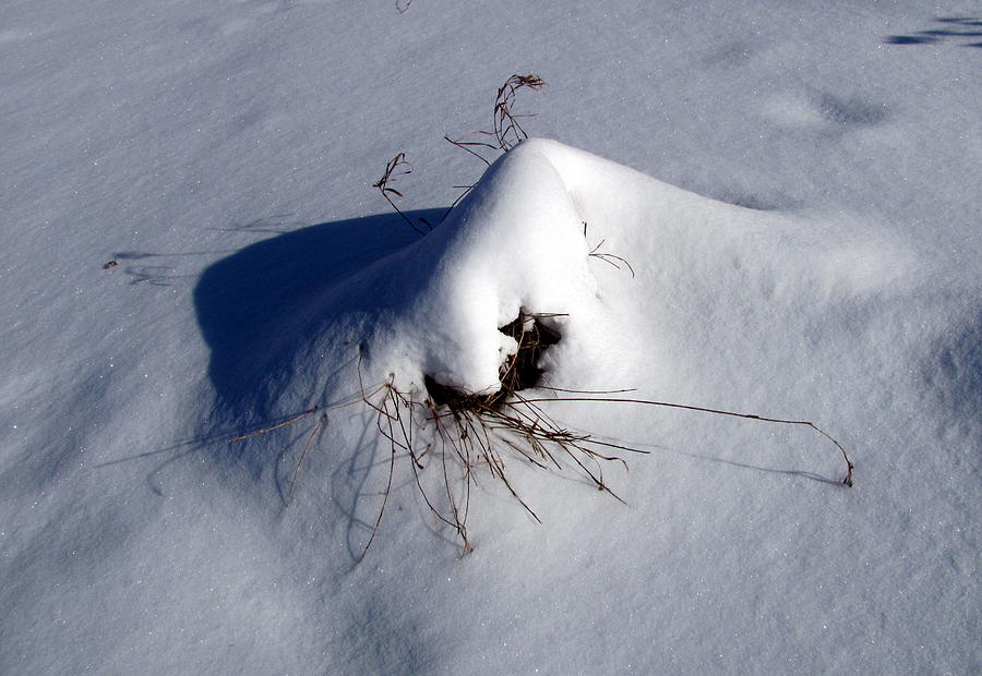 Snow shadow 3 Photograph by Douglas Pike