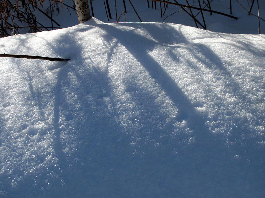 Snow shadow 4 Photograph by Douglas Pike