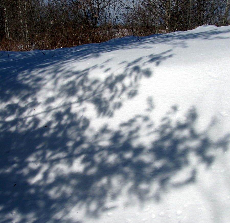 Snow shadow 5 Photograph by Douglas Pike