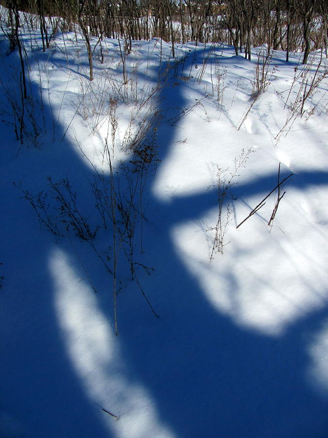 Snow shadow 6 Photograph by Douglas Pike