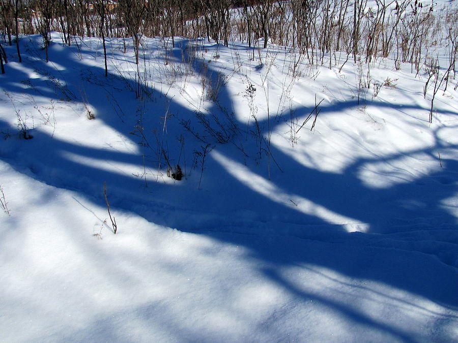 Snow shadows 10 Photograph by Douglas Pike