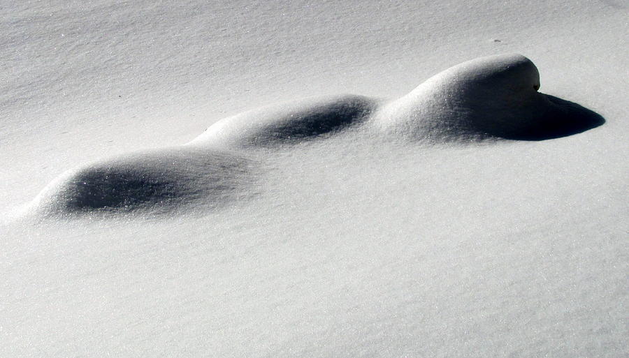 Snow Shadows 2 Photograph by Douglas Pike