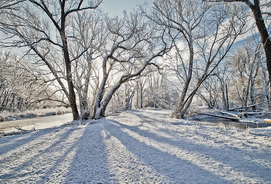 Snow Shadows Photograph by James Steele