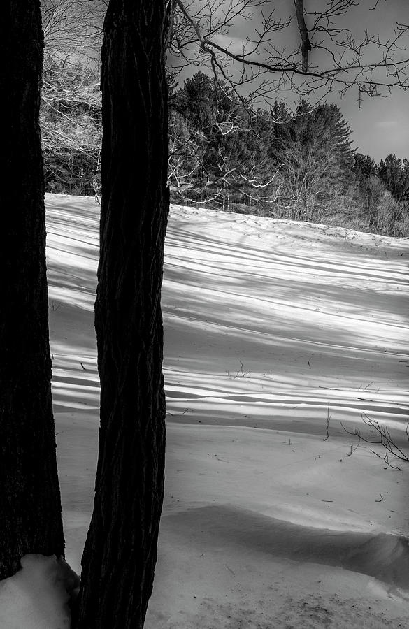 Snow Shadows Photograph by Tom Singleton
