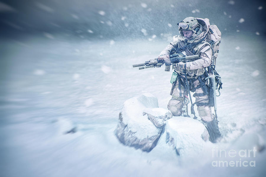 Snow Soldier Photograph