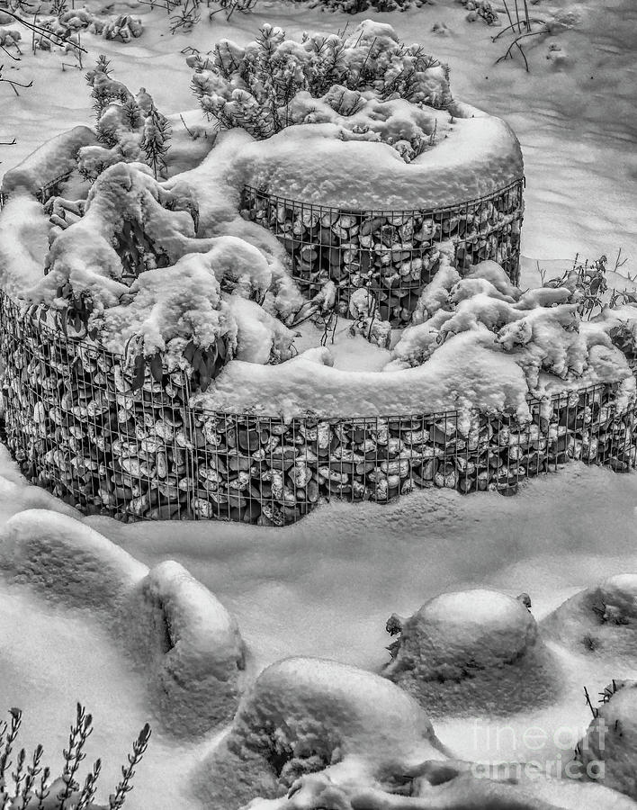 Snow Spiral Photograph by Elisabeth Lucas - Fine Art America