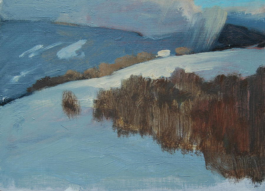 Snow Squall Painting by Len Stomski
