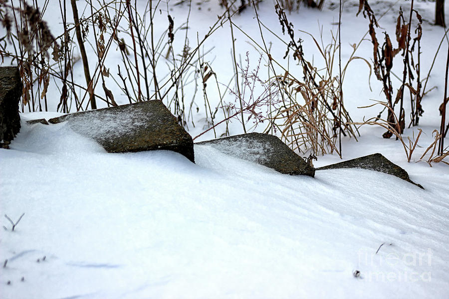 Snow Steps Photograph by Karen Adams
