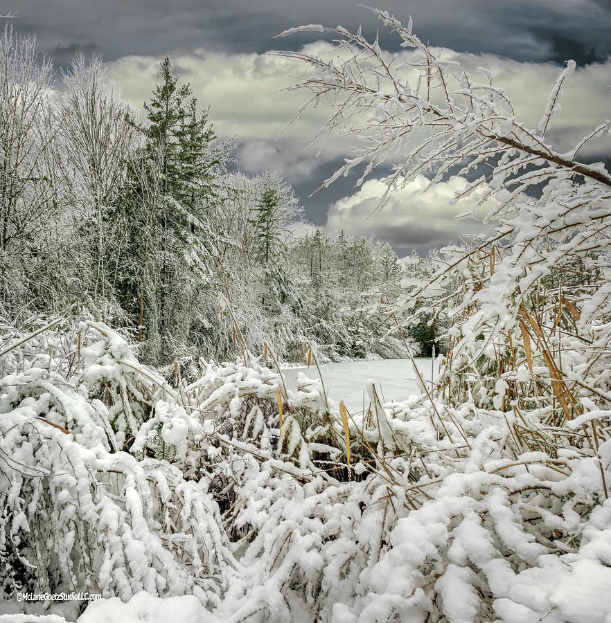 Snow Storm 2018 Photograph by LeeAnn McLaneGoetz McLaneGoetzStudioLLCcom