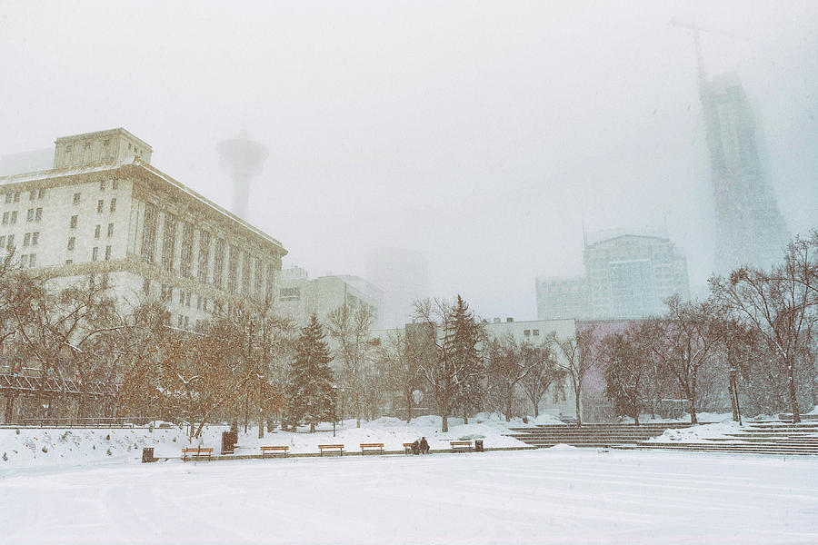 Snow storm in Calgary Photograph by Martin Capek