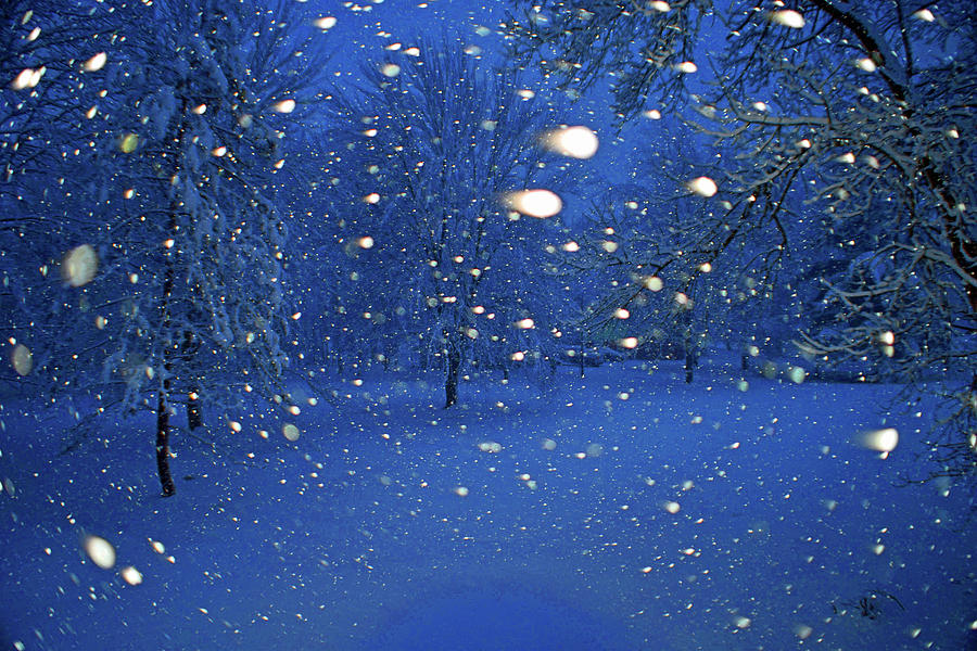 Snow Photograph - Snow Storm  by Joseph F Safin