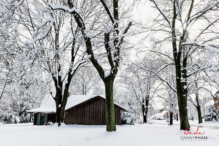 Snow Storm on Long Island, NY Photograph by Danny Pham Fine Art America