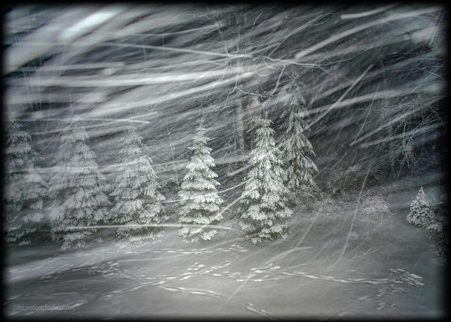 Abstract Photograph - Snow Storm Snow trails by LeeAnn McLaneGoetz McLaneGoetzStudioLLCcom
