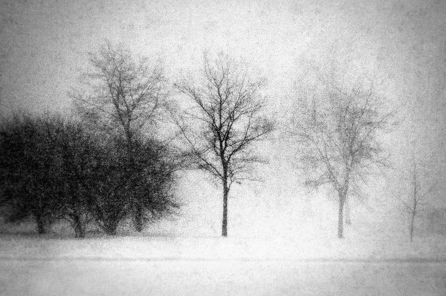 Snow Storm Photograph by Todd Klassy