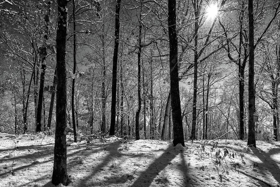 Snow, Sun and Shadow Photograph by Chris Buff