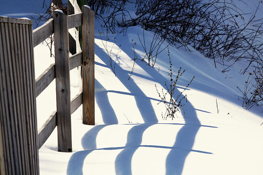 Snow, Sun and Shadows Photograph by Tatiana Travelways