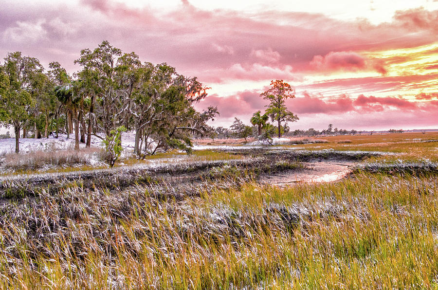 Snow Sunset -Marsh View Photograph by Scott Hansen