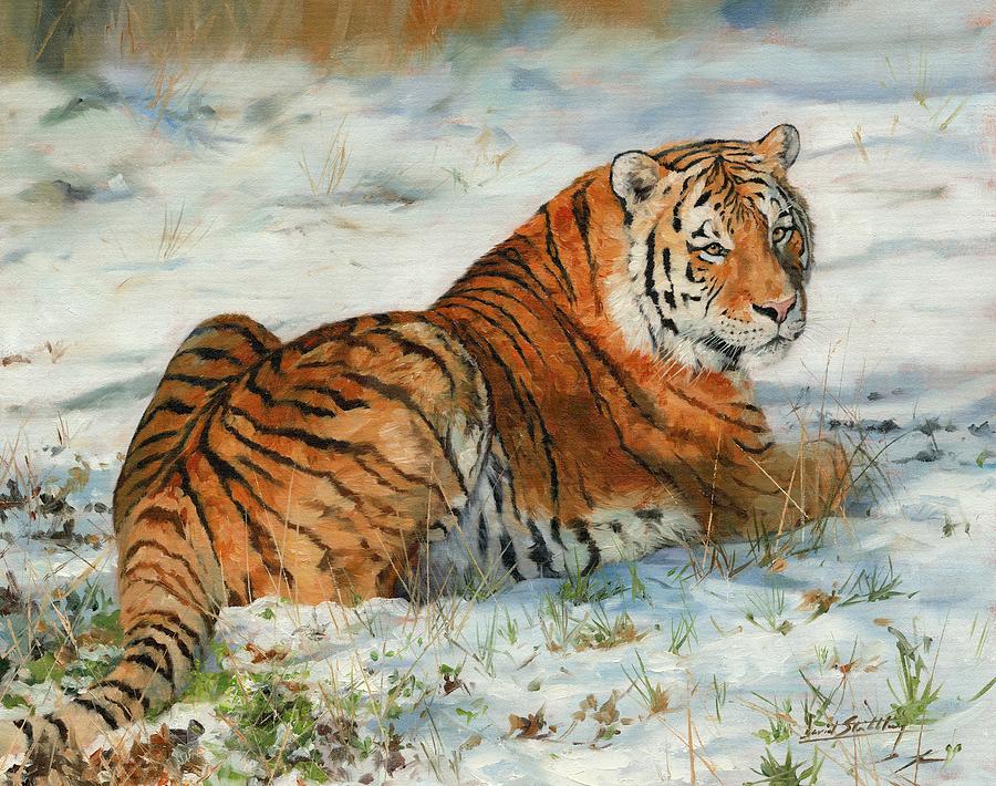Snow Tiger Painting by David Stribbling