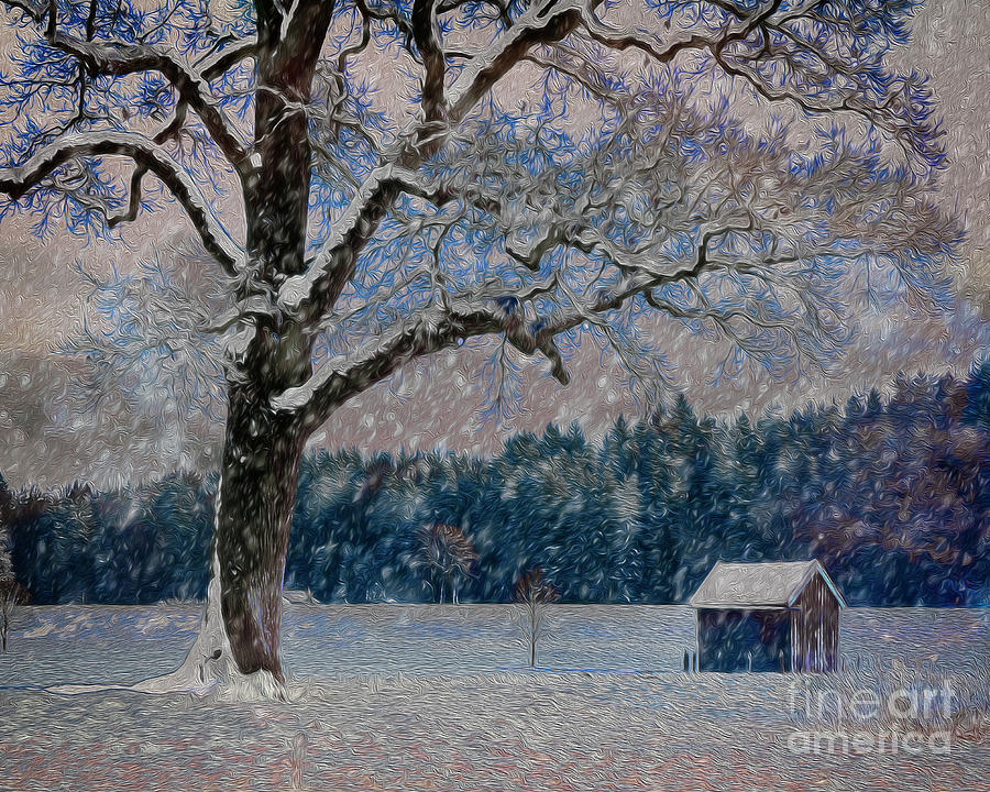 Snow Time Digital Art by Edmund Nagele FRPS