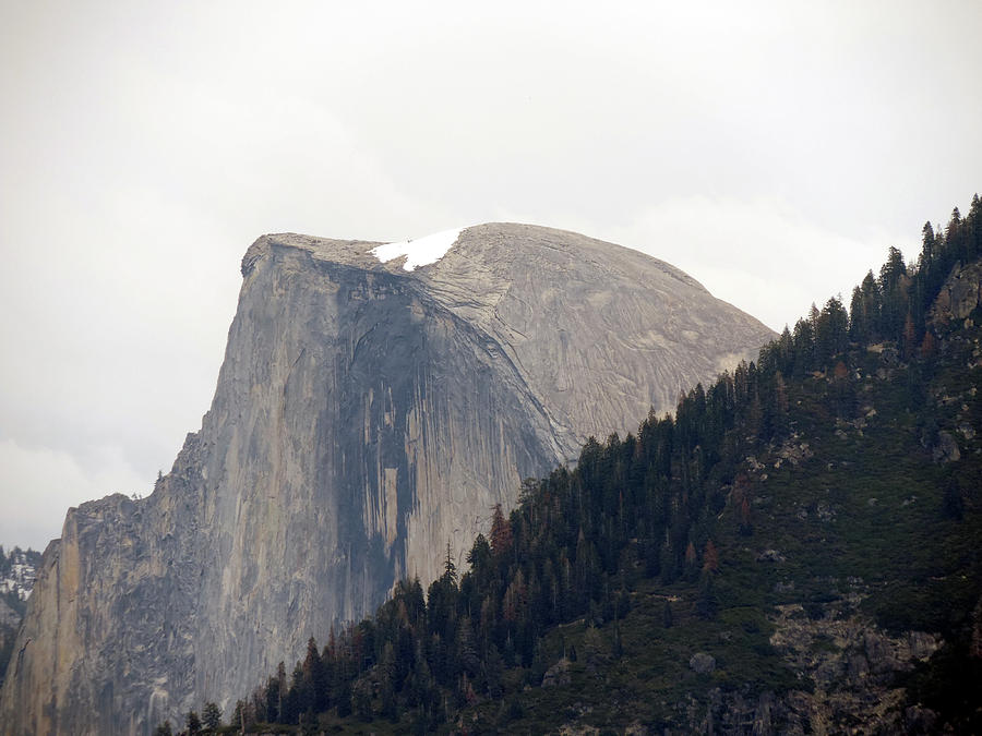 Snow Topped Half Dome Photograph by Eric Forster