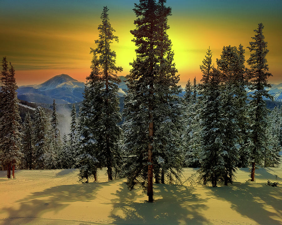 Snow Trees at Sunrise Photograph by Gary Greer