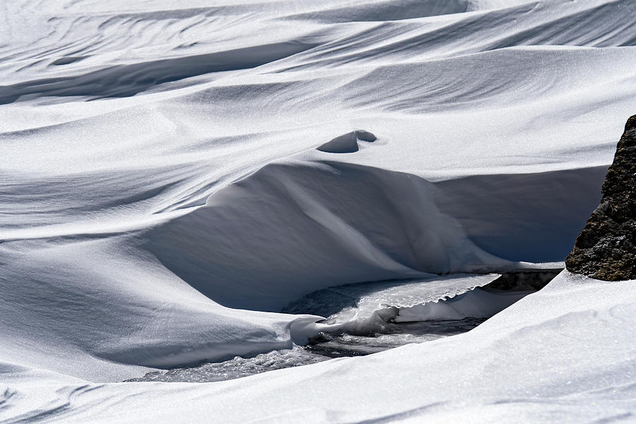 Snow Waves Photograph by Tracy Winter