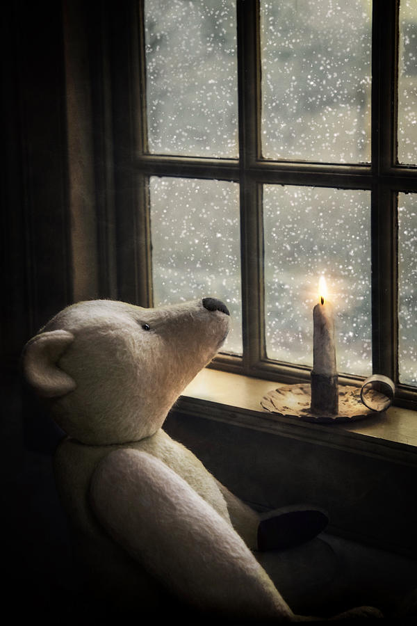 Snow Wonder by Robin-Lee Vieira Snow Wonder by Robin-Lee Vieira