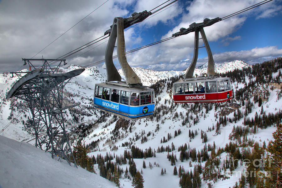 Mountain Photograph - Snowbird Hidden Peak Trams by Adam Jewell