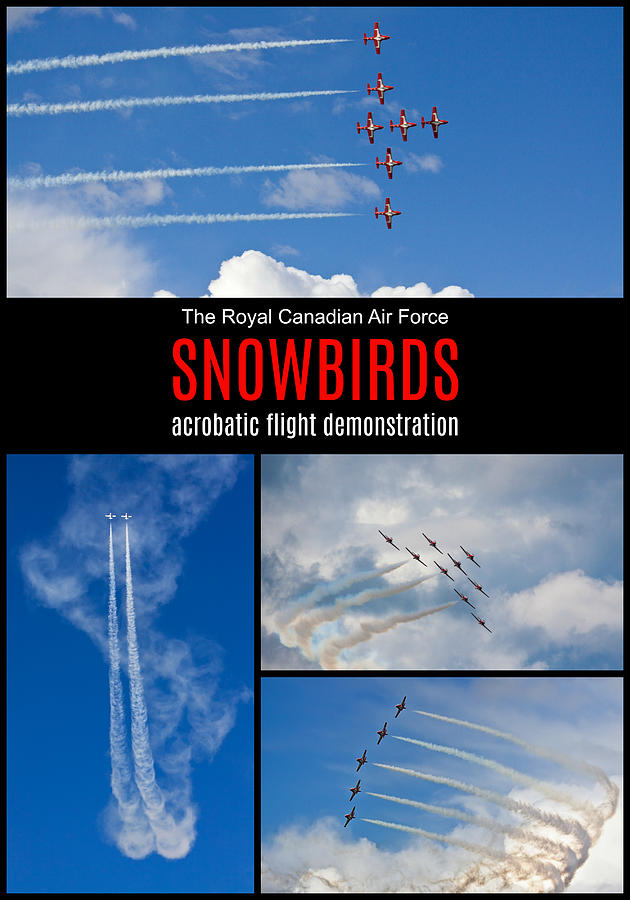 Snowbirds Collage 2 Photograph by Tatiana Travelways