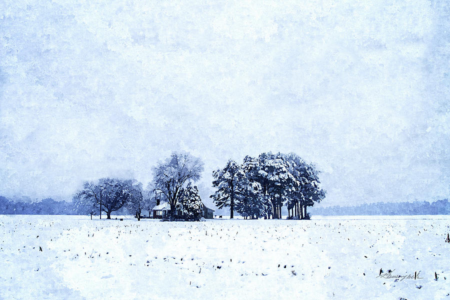 Snowbound Photograph by Alan Hausenflock