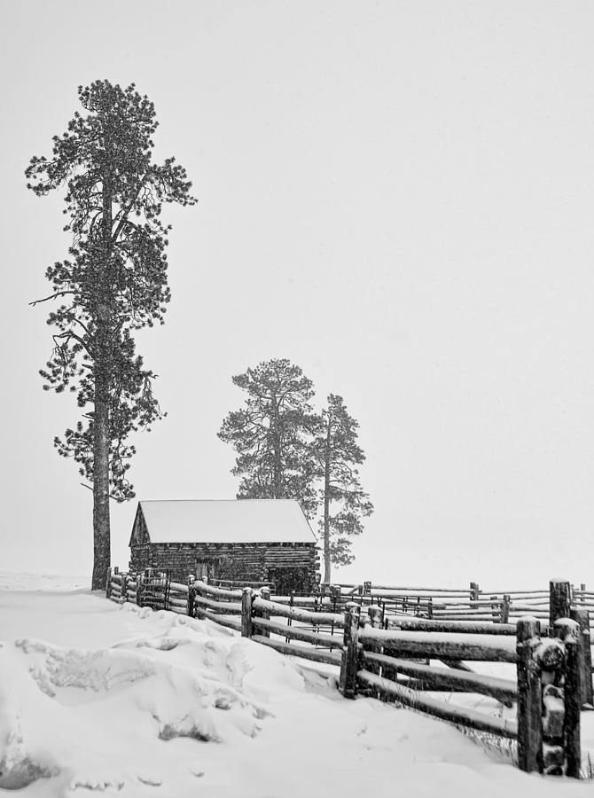 Black And White Photograph - Snowbound by Alan Toepfer