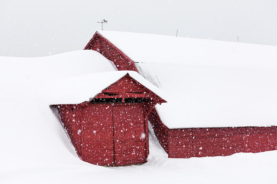 Snowbound Barn Photograph by Alan L Graham