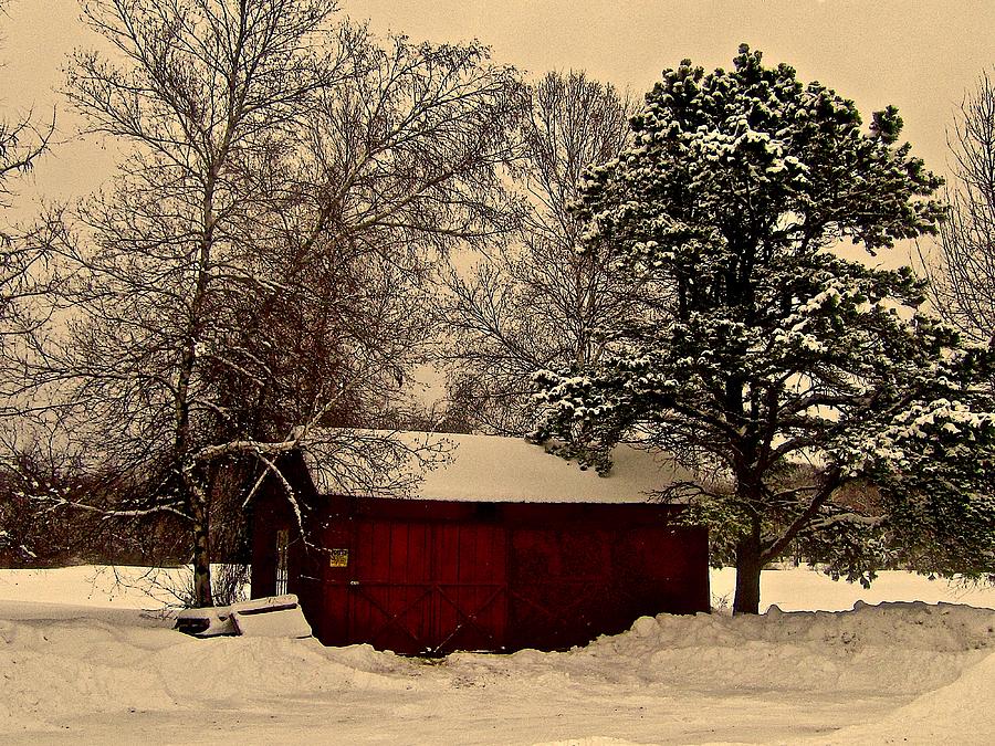 Snowbound Photograph by Elizabeth Tillar