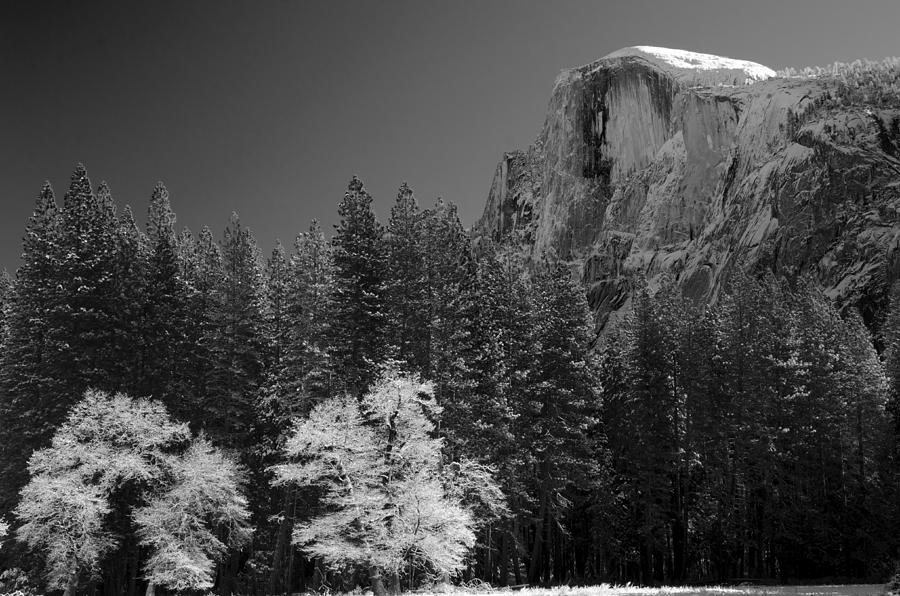 Snowcapped Half Dome Yosemite National Park Photograph by Lawrence Knutsson