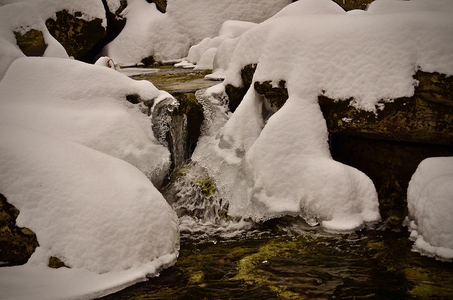 Snowcone Stream Photograph by Cornelia DeDona