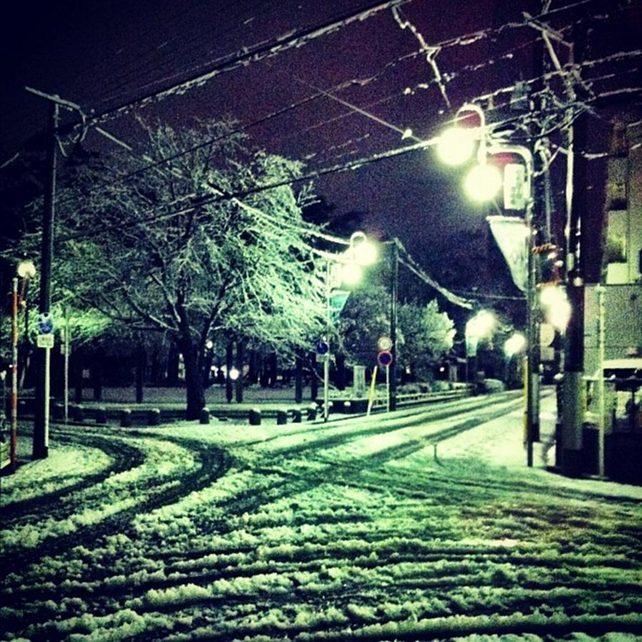 Snowday Photograph by Yukihiro Arai