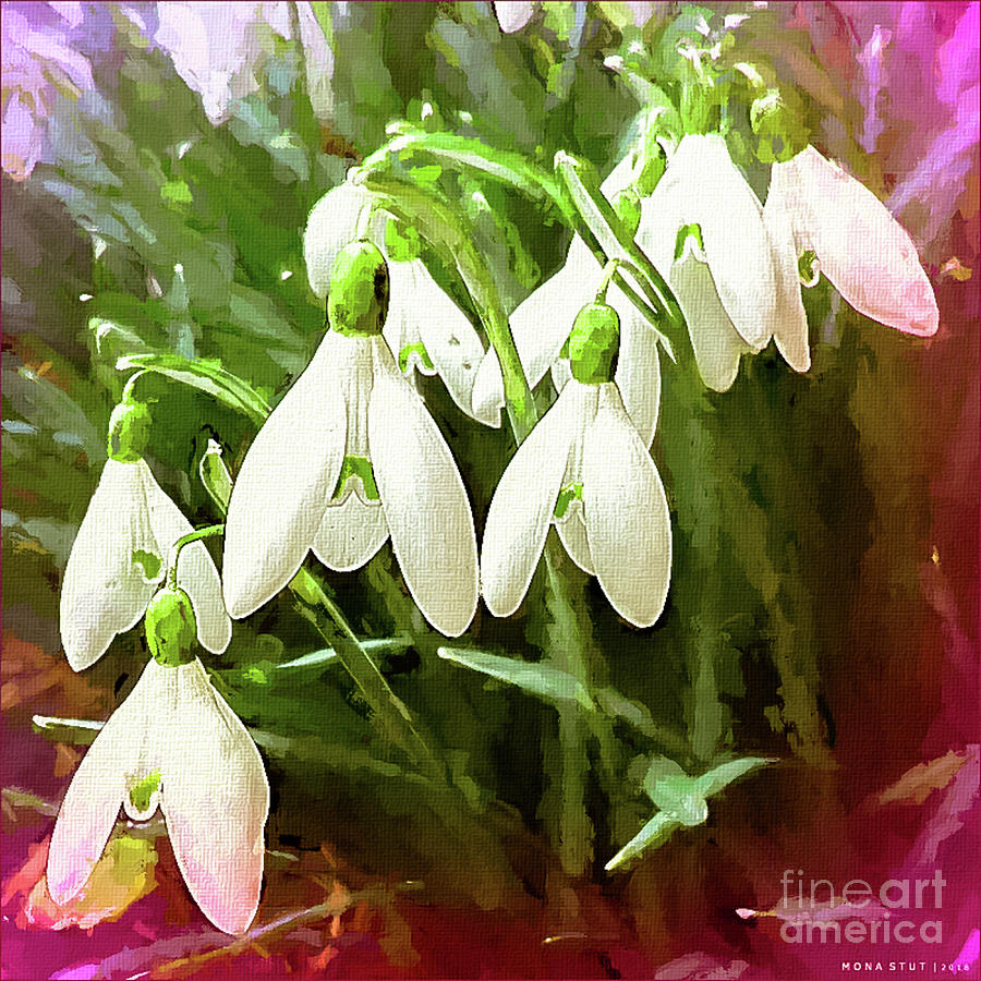 Snowdrops Spring Bells Digital Art by Mona Stut