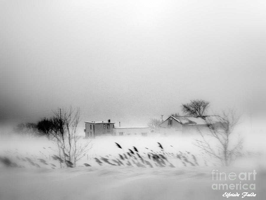 Snowed - In Photograph by Elfriede Fulda