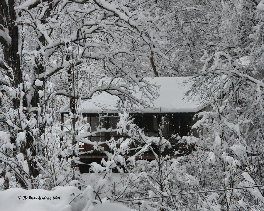 Snowed In Photograph by JD Brandenburg
