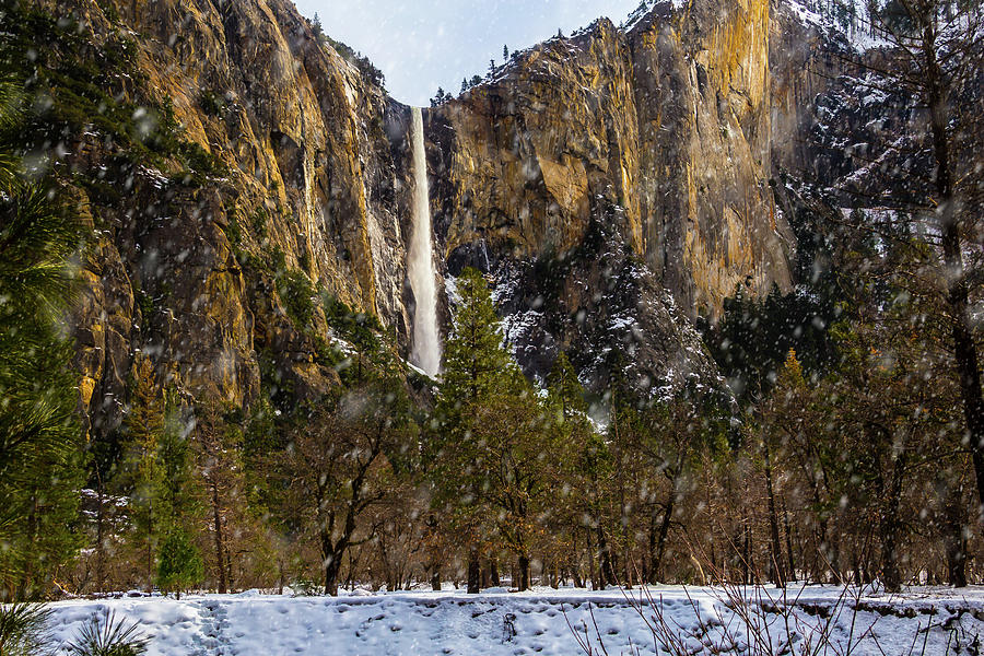 Snowfall Bridalveil Falls Photograph by Garry Gay