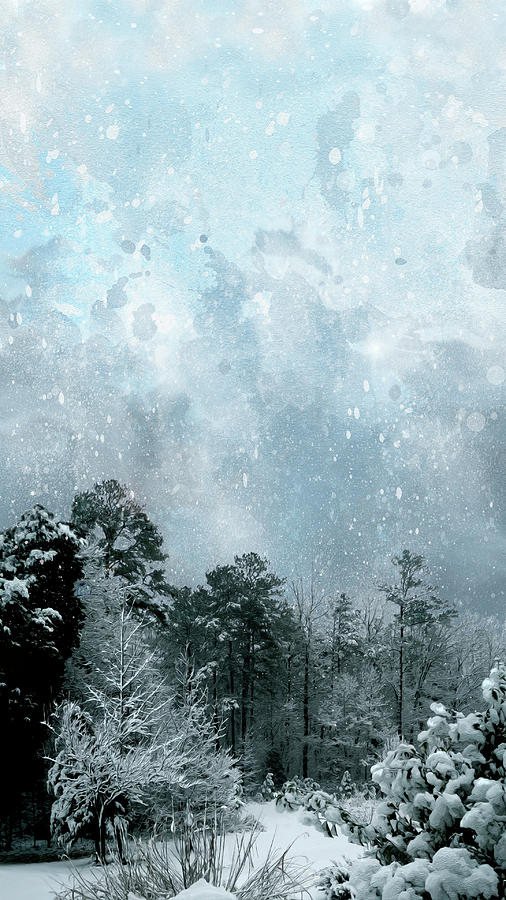 Snowfall Digital Art by Gina Harrison