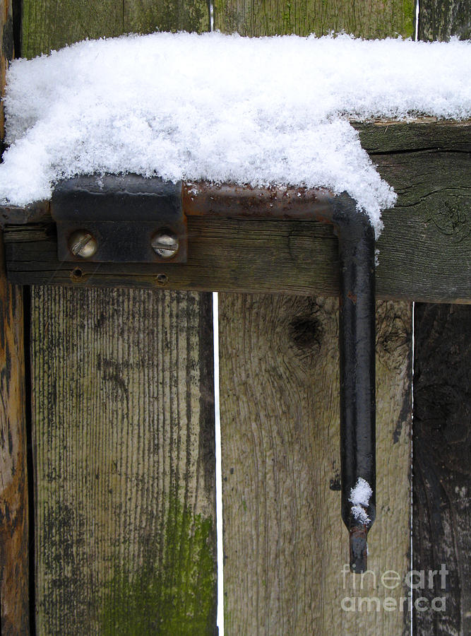 Snowfall on a Gate Latch Photograph by William Kuta